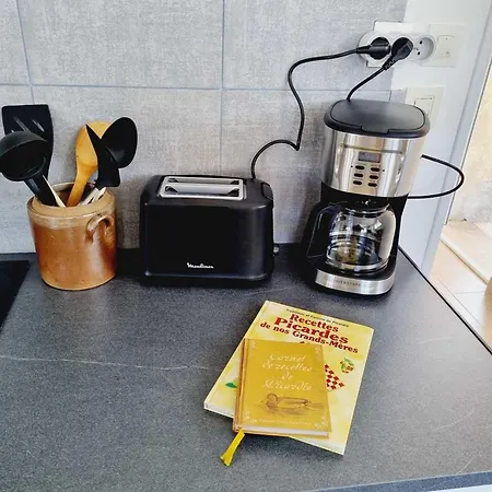 Maison Paisible Avec Jardin, Animaux Bienvenus, Parking Prive - Fr-1-532-21 Viels-Maisons